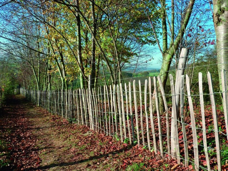 0000___KASTANJE_OMHEINING-3.jpg KASTANJE OMHEINING