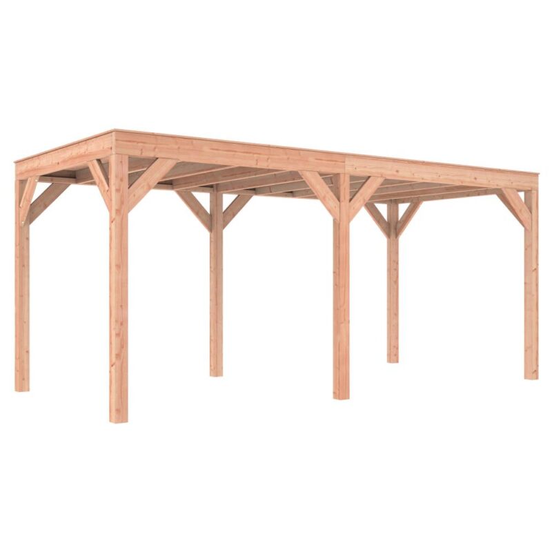 Douglas Overkapping 244,8 x 545,4 x 254,9 A-Sym/2