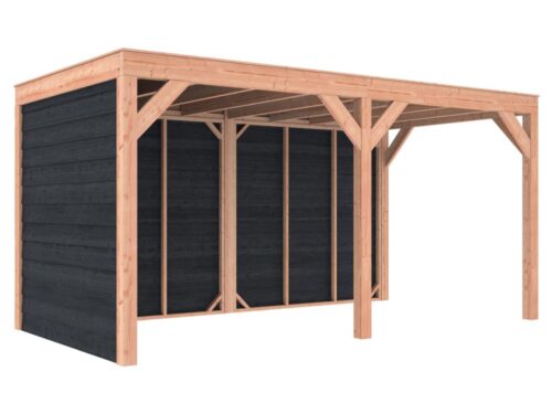 Overkapping douglas 244,8 x 495,4 x 254,9 cm symmetrisch + wanden Zweeds rabat zwart