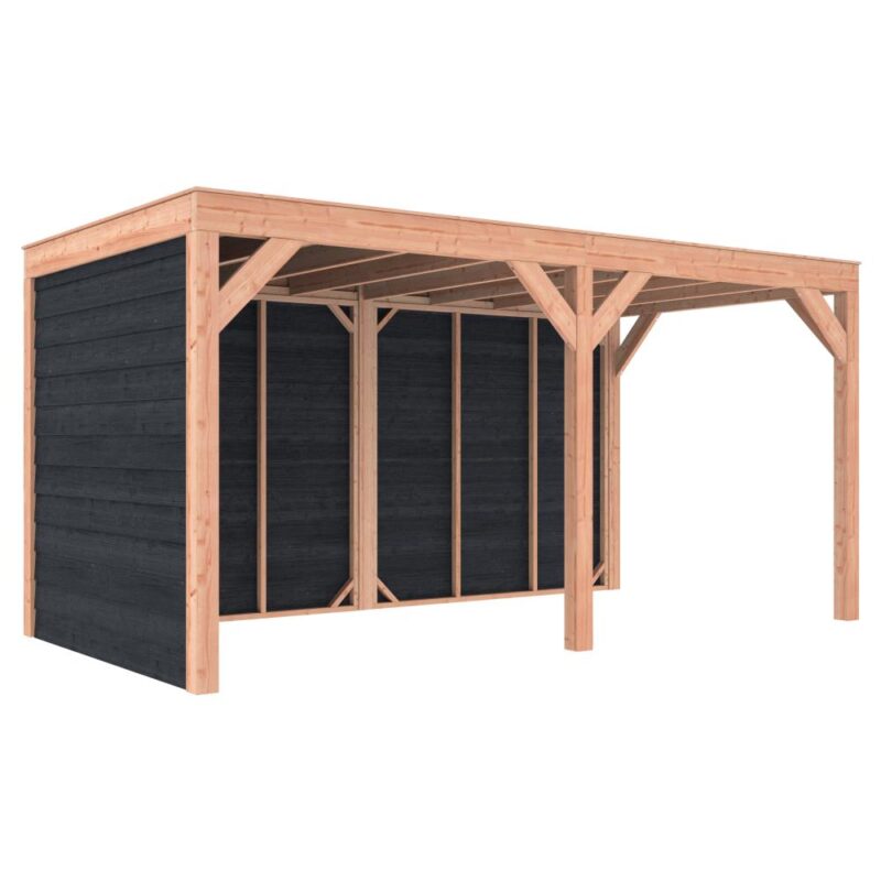 Overkapping douglas 244,8 x 495,4 x 254,9 cm symmetrisch + wanden Zweeds rabat zwart