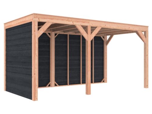 Overkapping douglas 244,8 x 495,4 x 254,9 cm asymmetrisch + wanden Zweeds rabat zwart
