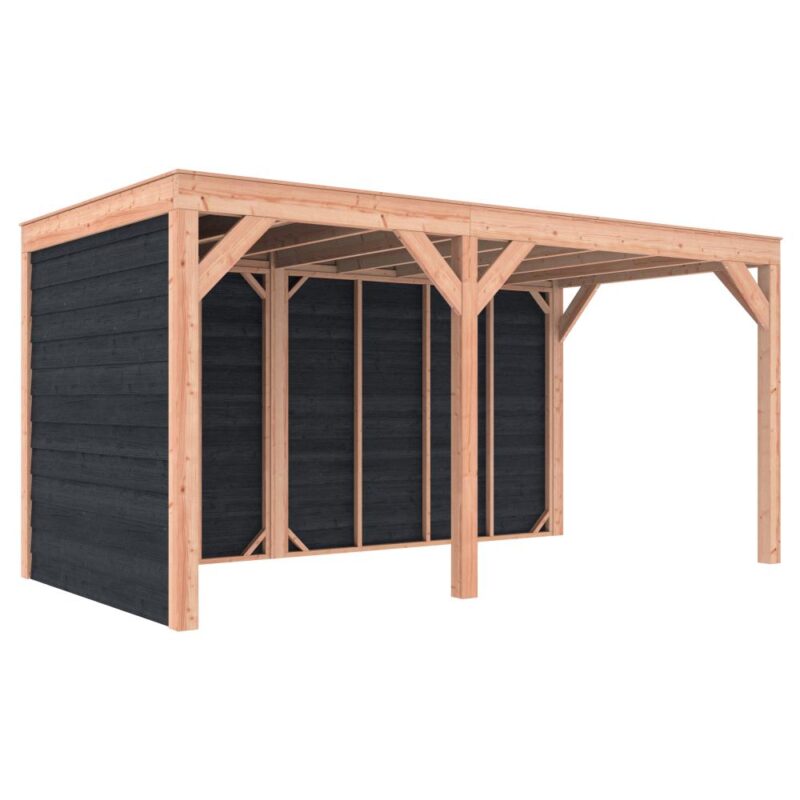 Overkapping douglas 244,8 x 495,4 x 254,9 cm asymmetrisch + wanden Zweeds rabat zwart