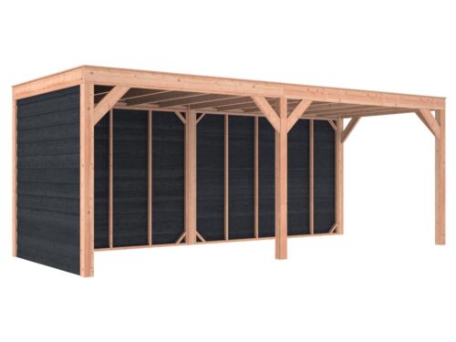 Overkapping douglas 244,8 x 645,4 x 254,9 cm + wanden Zweeds rabat zwart