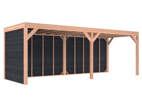 Overkapping douglas 244,8 x 695,4 x 254,9 cm + wanden Zweeds rabat zwart