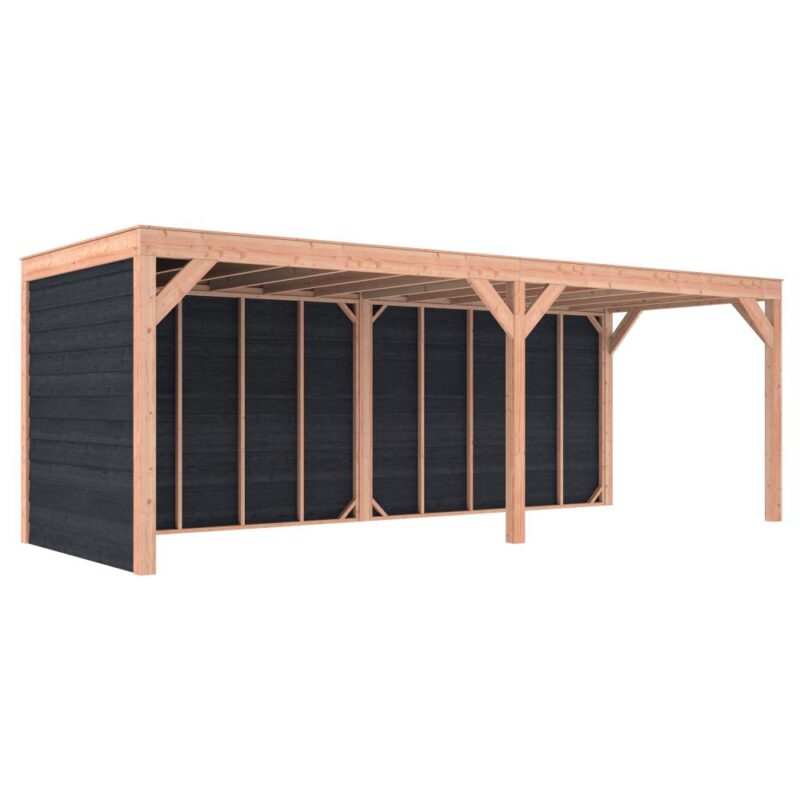 Overkapping douglas 244,8 x 695,4 x 254,9 cm + wanden Zweeds rabat zwart