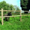 CORRAL