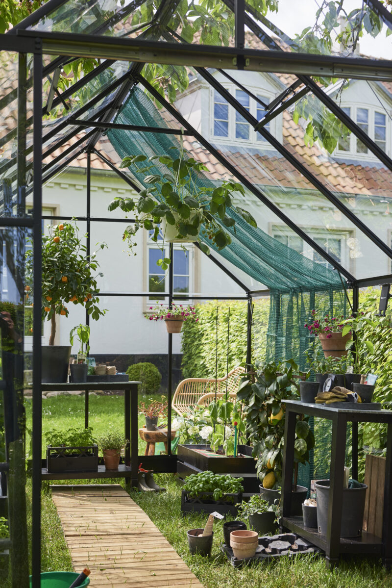 Qube 812, zwart gecoat