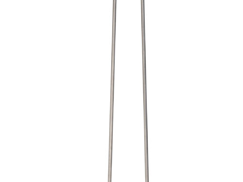 Asschepset