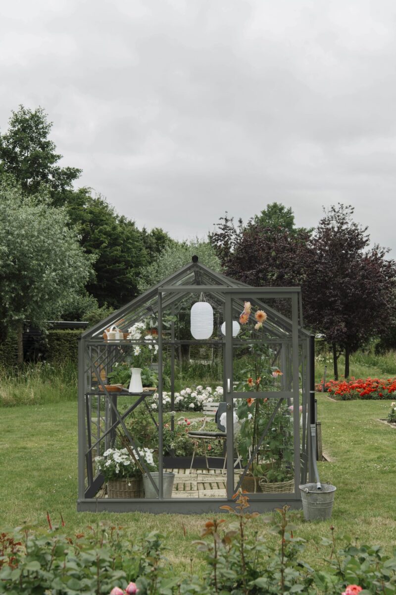 MARY-II-GROENGRIJS-scaled-1.jpg Mary II groengrijs VG 3mm
