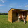 SHELTER  6000 x 2920 MM