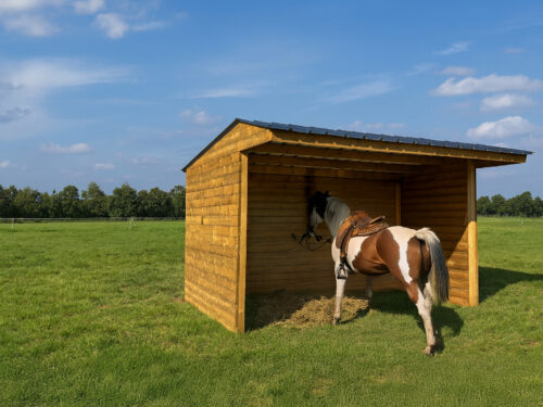 JrEl3AW4MA2uQmxcvnbVXNSk9XDt39Sow1cpI9bm.jpg SHELTER 6000 x 2920 MM