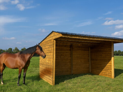 K68S0DrVHzAkS62mmyDpdJesAIgJlUTWke7gne9N.jpg SHELTER 4000 x 2920 MM