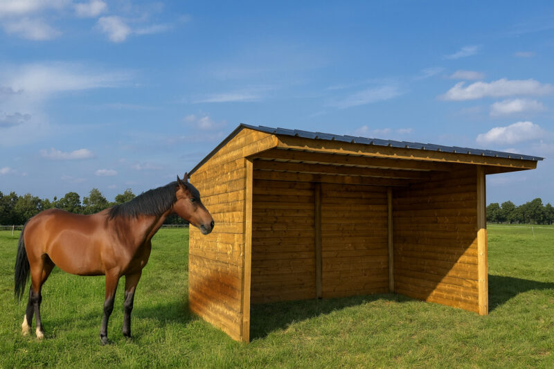 SHELTER 4000 x 2920 MM