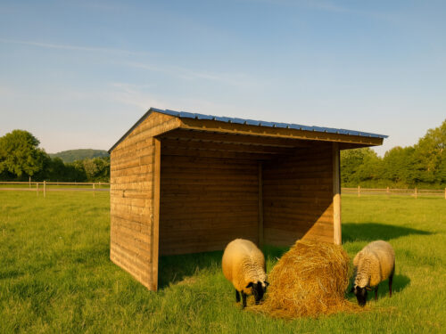 PkIy2NE2PzgkyTtVKcluAYflHlddDvSVCuLINyhv.jpg SHELTER 3000 x 2920 MM